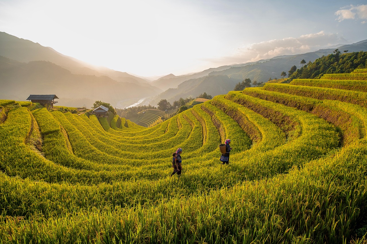 オーダーメイドのトレーニングプラン